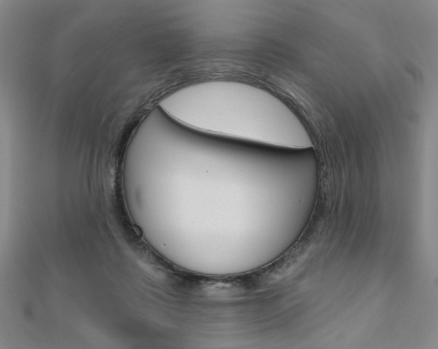 X0000110960315200906191055