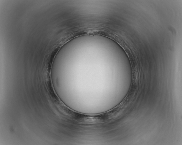X0000110960316200906191055