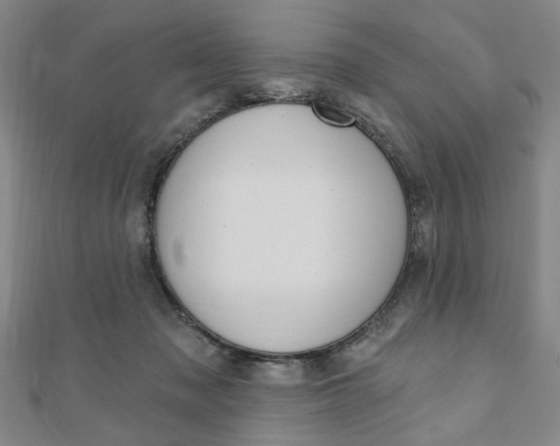 X0000110960317200906191055