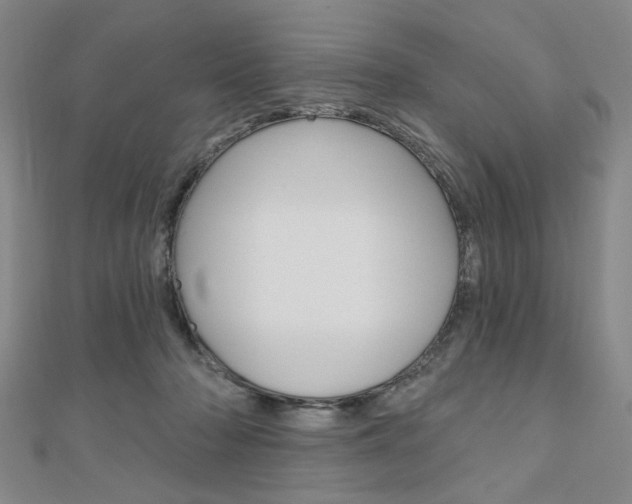 X0000110960318200906191055