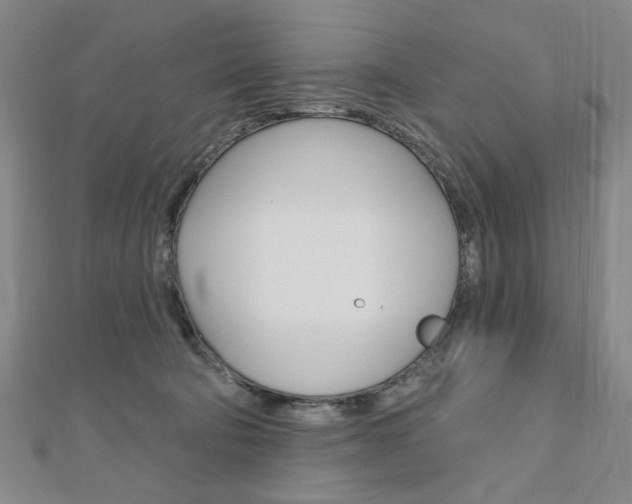 X0000110960322200906191055