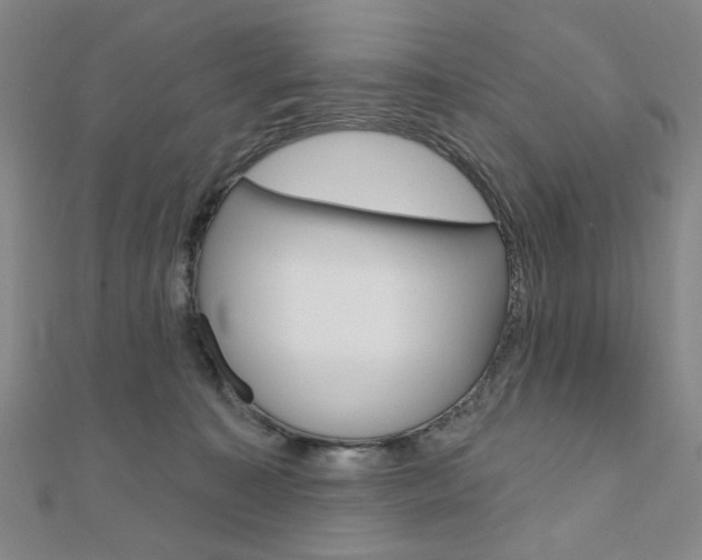 X0000110960323200906191055