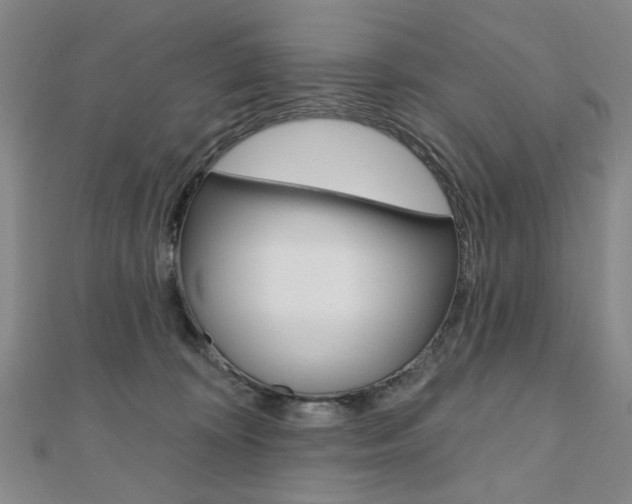 X0000110960324200906191055