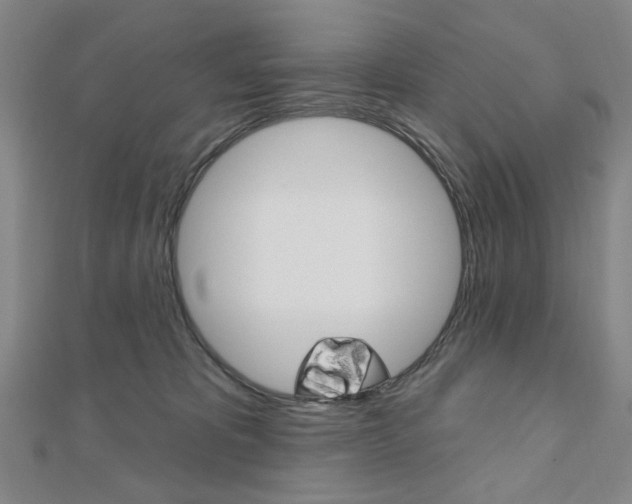 X0000110960325200906191055