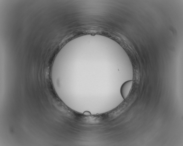 X0000110960326200906191055