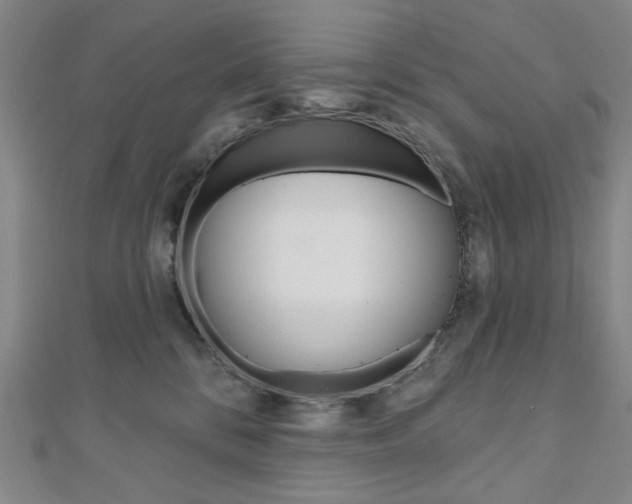 X0000110960328200906191055