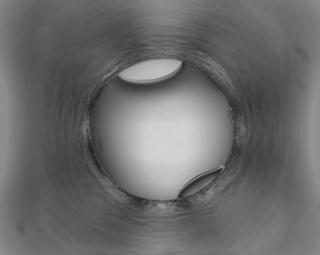 X0000110960329200906191055