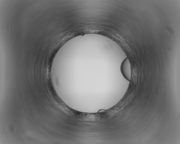 X0000110960330200906191055