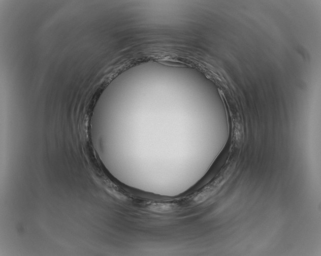 X0000110960332200906191055