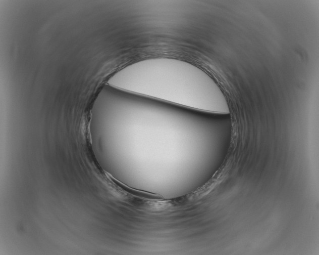 X0000110960333200906191055