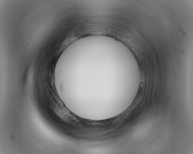 X0000110960334200906191055