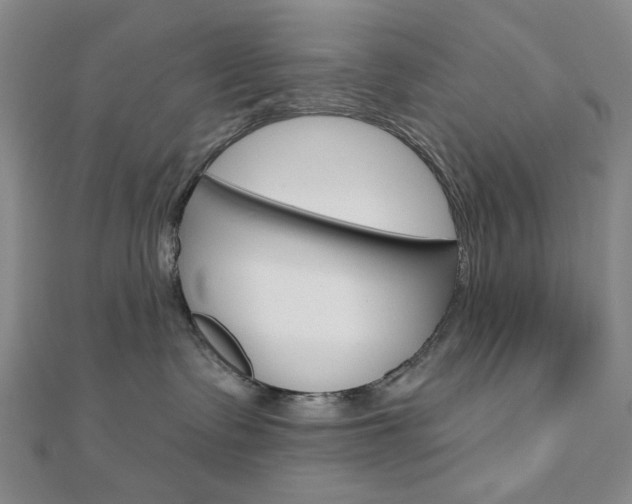 X0000110960335200906191055