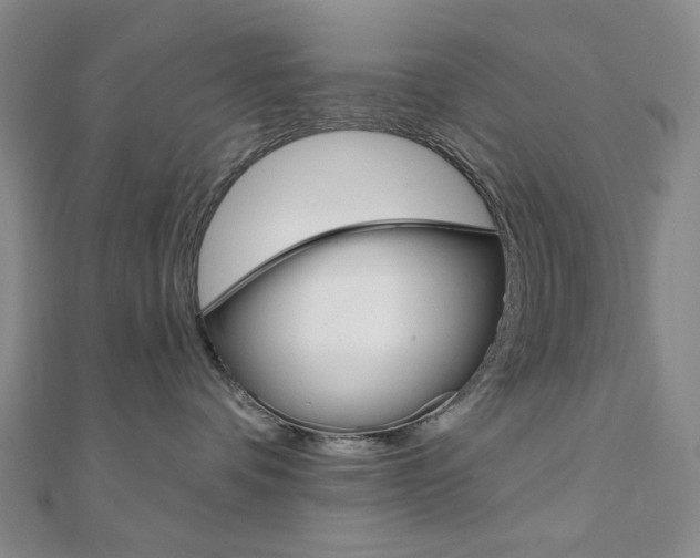 X0000110960336200906191055
