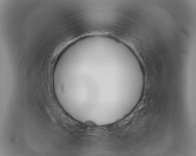 X0000110960337200906191054