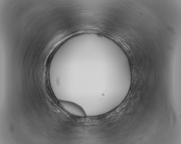 X0000110960338200906191054