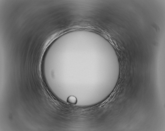 X0000110960340200906191054