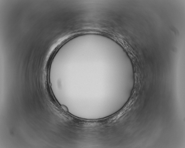 X0000110960342200906191054