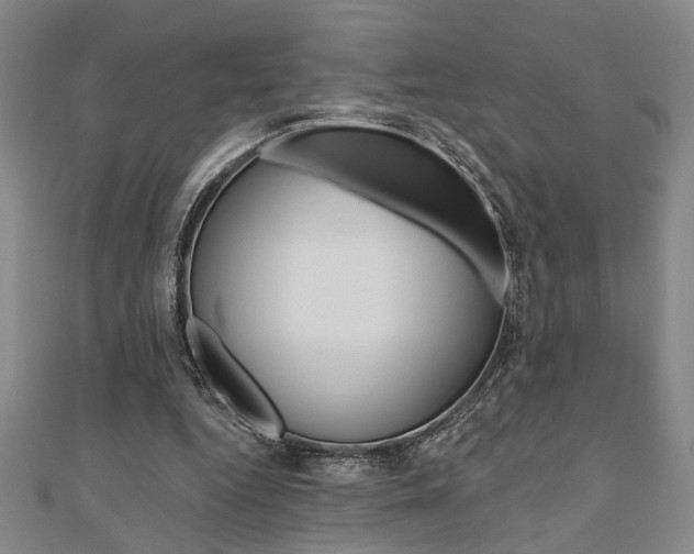 X0000110960344200906191054