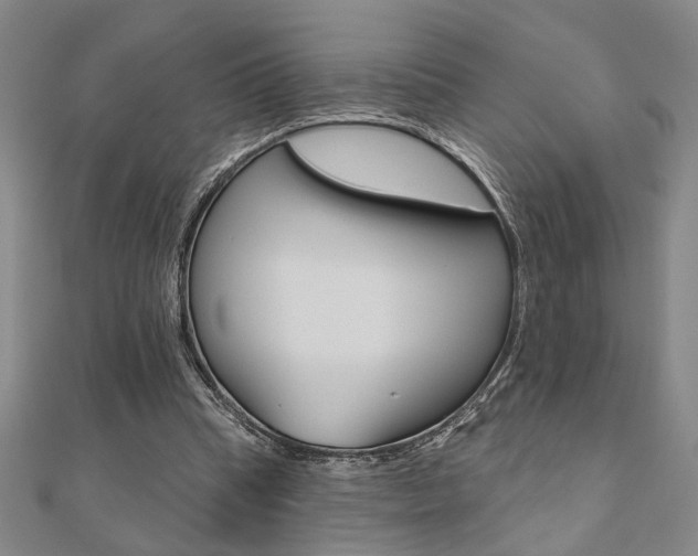 X0000110960345200906191054
