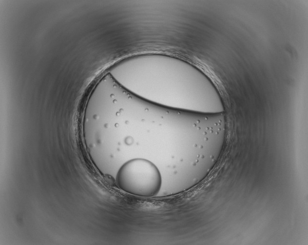X0000110960346200906191054