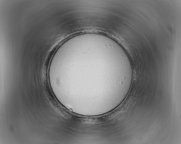 X0000110960347200906191054