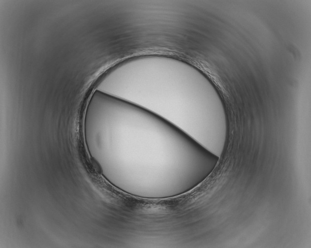X0000110960348200906191054