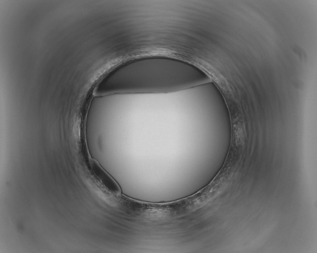 X0000110960350200906191054