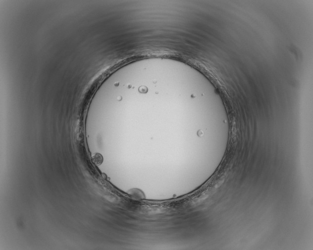 X0000110960351200906191054