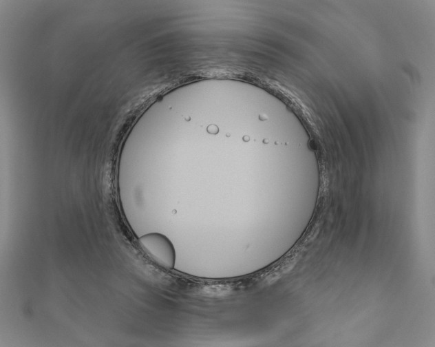 X0000110960353200906191054