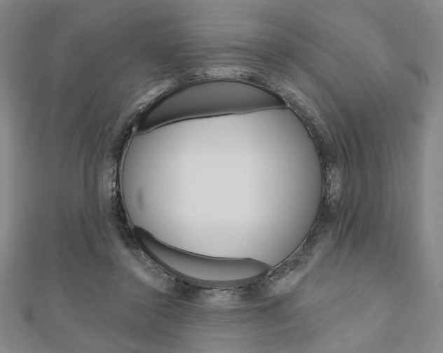 X0000110960356200906191054