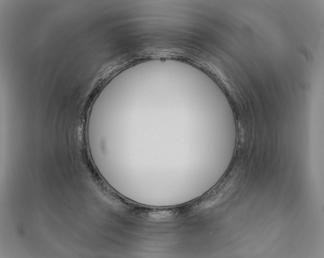 X0000110960357200906191054