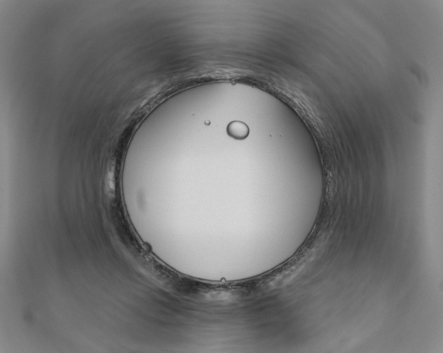 X0000110960358200906191054
