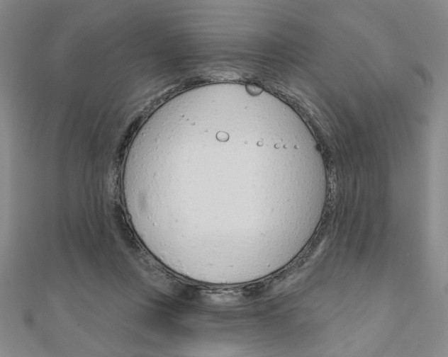 X0000110960359200906191054