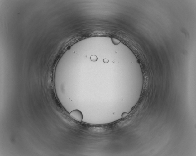 X0000110960361200906191054
