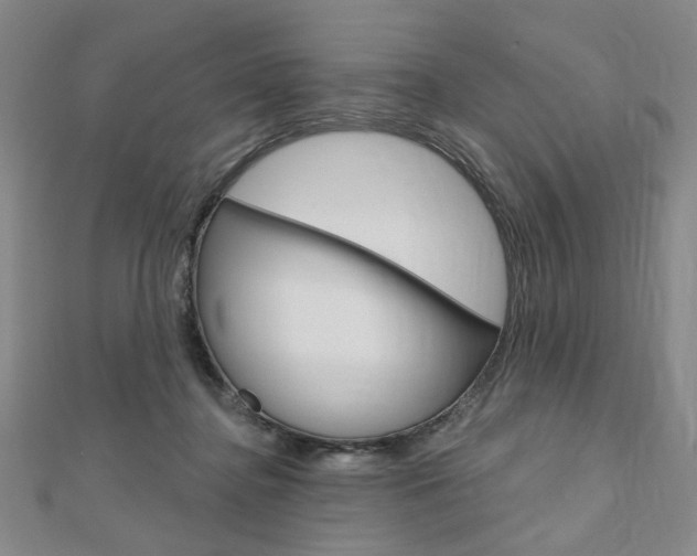 X0000110960364200906191054