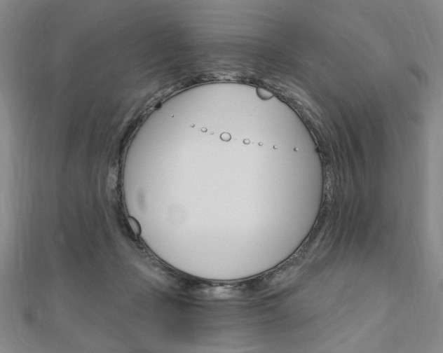 X0000110960365200906191054