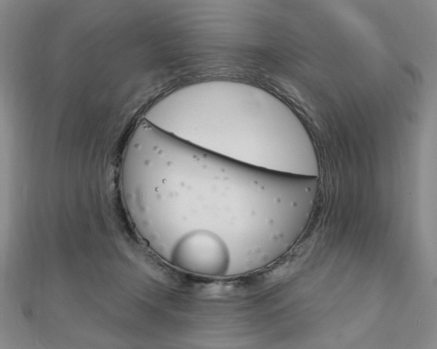 X0000110960366200906191054