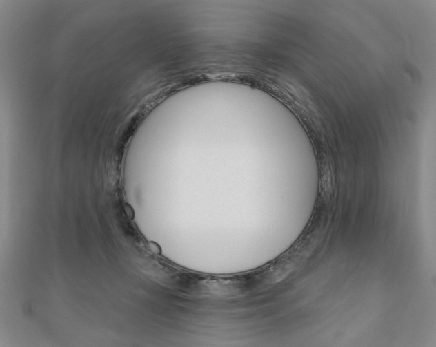 X0000110960367200906191054