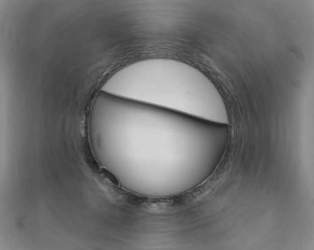 X0000110960368200906191054