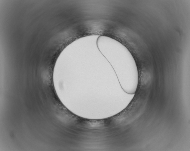 X0000110960370200906191055