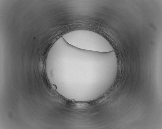 X0000110960371200906191055