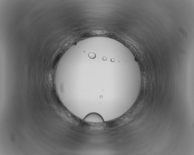 X0000110960373200906191055