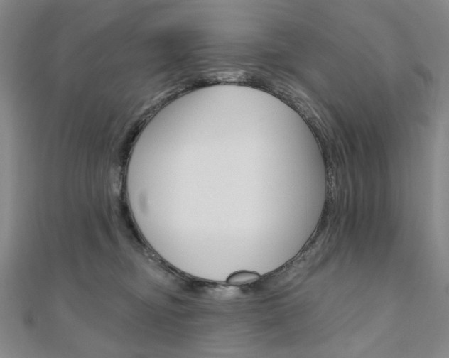 X0000110960374200906191055