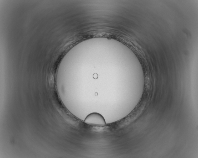 X0000110960375200906191055