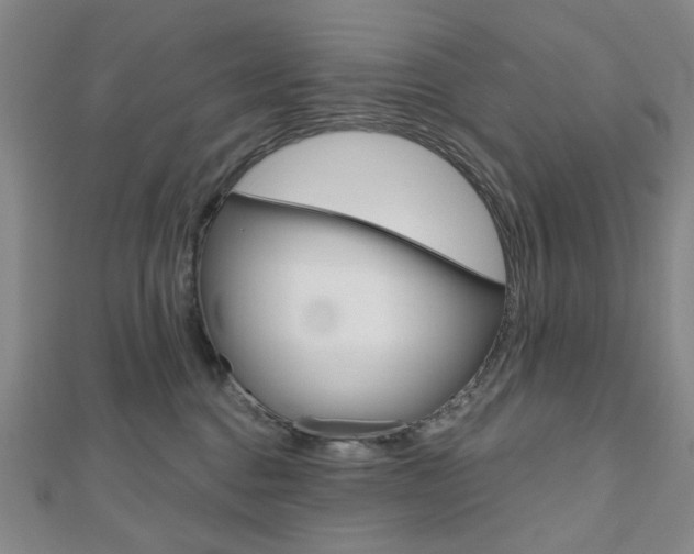 X0000110960376200906191055
