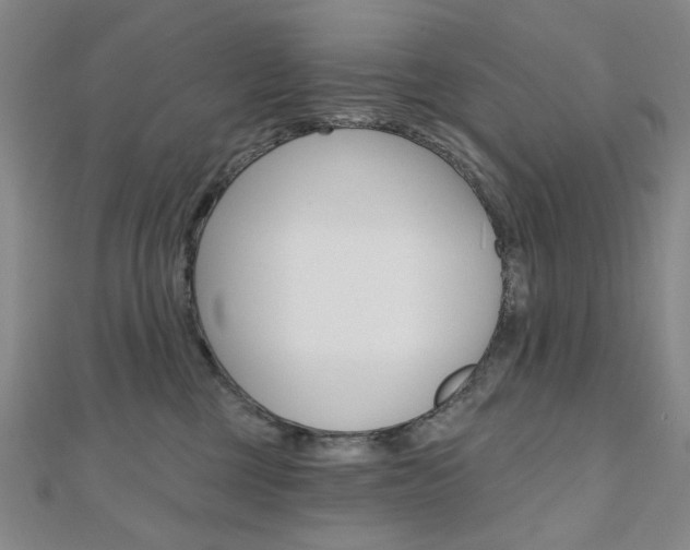 X0000110960377200906191055