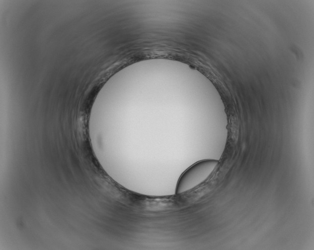 X0000110960378200906191055