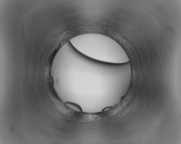 X0000110960379200906191055