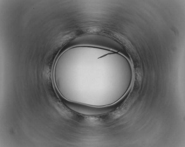 X0000110960380200906191055