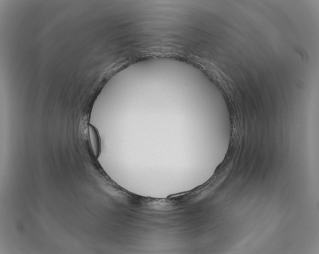 X0000110960383200906191055